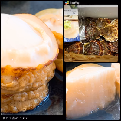 みんなの投稿の画像