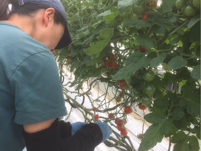 みんなの投稿の画像