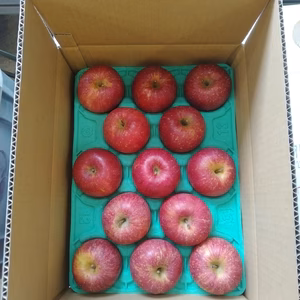 小玉サンふじ3キロ