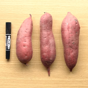 まるで芋羊羹‼︎甘くねっとり「紅はるか」Lサイズ