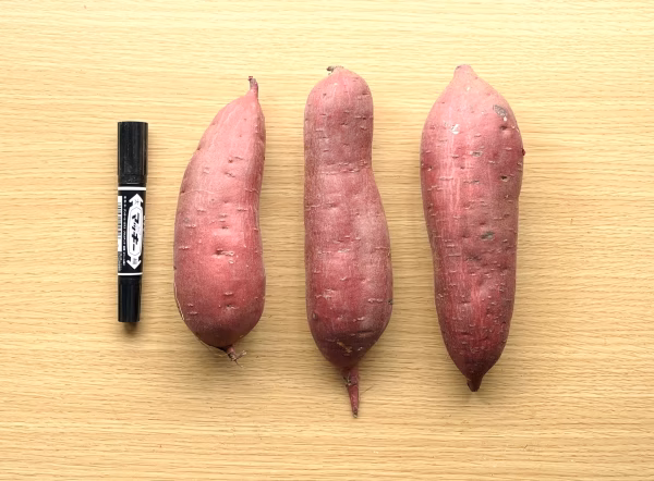 まるで芋羊羹‼︎甘くねっとり「紅はるか」Lサイズ