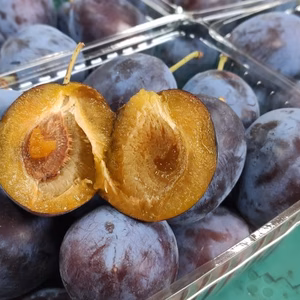 【サン・プルーン】プルーンの代表格を限定でお届け