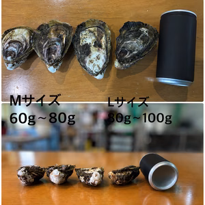 【生食可能】兵庫県相生産　夏に食べる真牡蠣