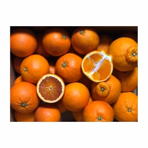 お得セット『不知火デコ2.5kg』と『タロッコ2.5kg』家庭用