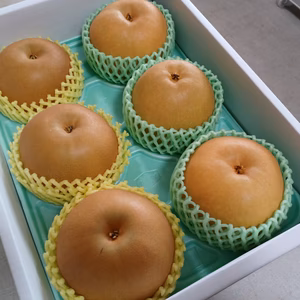 限定⑦箱 AAS3.2 【贈答】秋月＆新美月食べ比べ！（6玉3.2Kg）
