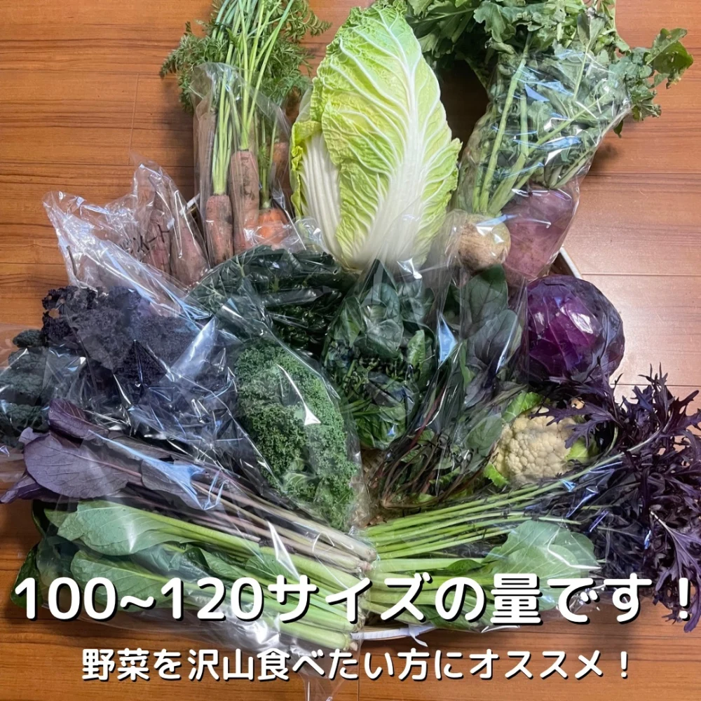 季節の旬の野菜セットMサイズ