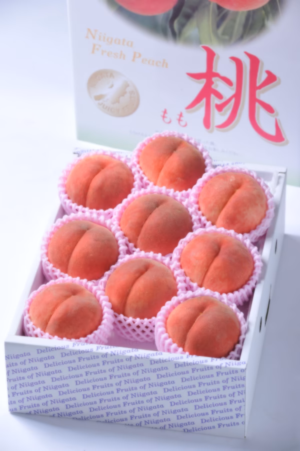 R5A3「贈答用 桃 大玉 3㎏」（８～１2玉入り）