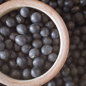 丹波篠山産丹波黒大豆！【無農薬無肥料・樹上完熟天日干し】