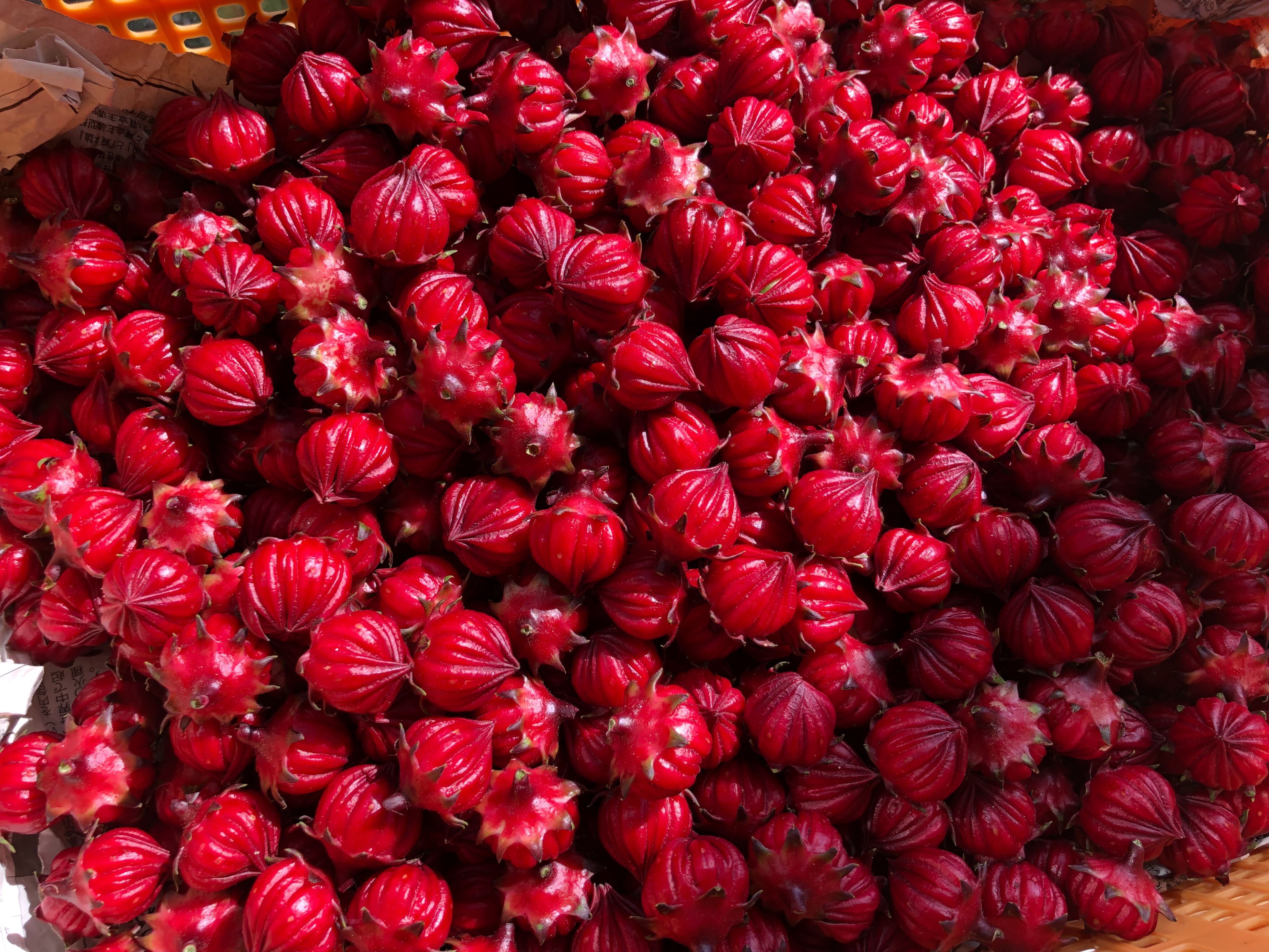 ローゼルの産直通販・お取り寄せ商品｜ポケットマルシェ｜産地直送で旬