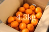 和歌山・天空の村よりお届け♪天空みかん❗️（4.3kg）