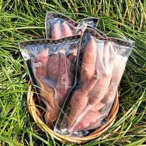 冷凍  一口 焼き芋