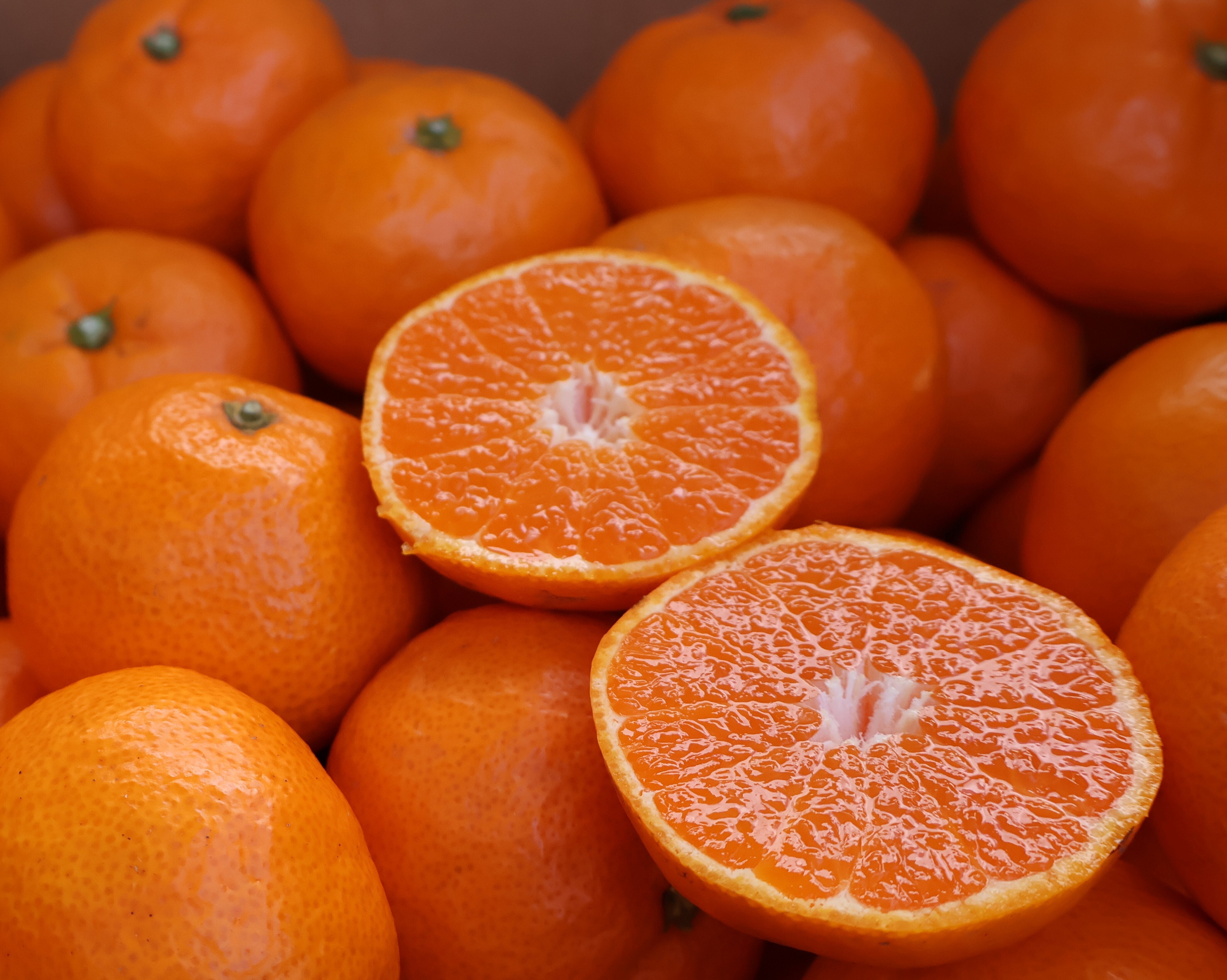 農家直送!有田みかん3kg〜≪2Lサイズ(大玉) 秀品≫[平武農園] 2Lサイズ(3Kg)