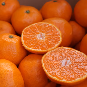 農家直送！有田みかん3㎏～≪2Lサイズ（大玉） 秀品≫【平武農園】