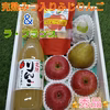 新春ギフト★山形の旬＆りんごの恵み【1月上旬〜発送】