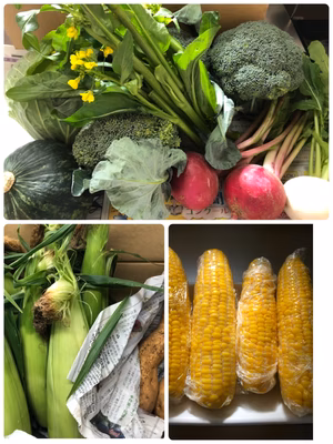 みんなの投稿の画像