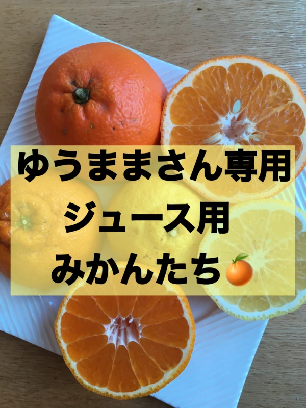ゆうまま様専用　ジュース用柑橘セット