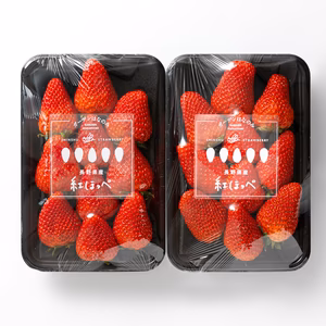 いちご　紅ほっぺお任せ280g 2パック/4パック/6パック
