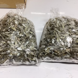 　大き目かえりどっさり３００ｇふぞろい訳あり