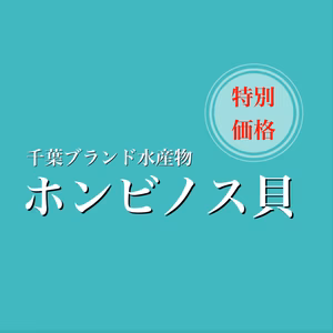 ホンビノス貝　Lサイズ【特別価格】