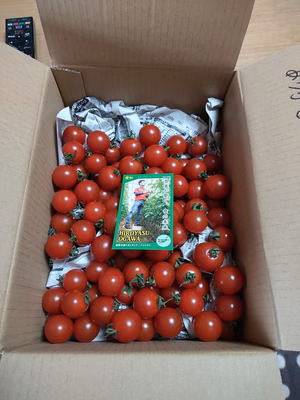 みんなの投稿の画像