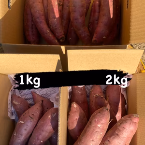 究極の熟成！高糖度！プレミアムべにはるか