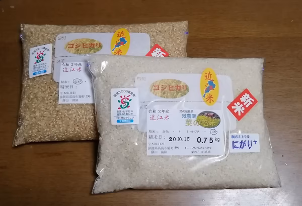 令和2年産☆近江米コシヒカリ☆減農薬菜の花米☆1.5kg☆コンビネーション