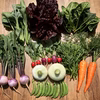 【月1回】農薬•化学肥料 不使用　野菜セット（お米セット有！）