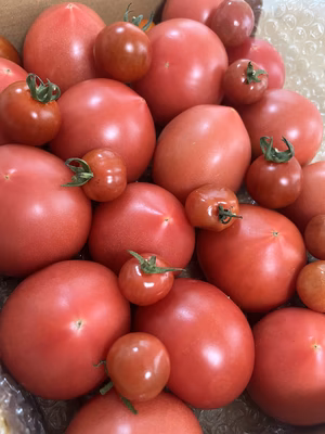 みんなの投稿の画像