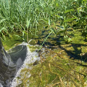 【応援商品】コンセ商品セットA