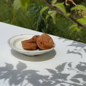 【訳あり（雹被害）】自然栽培 紀州南高梅｜ひとみずの梅干し 500g