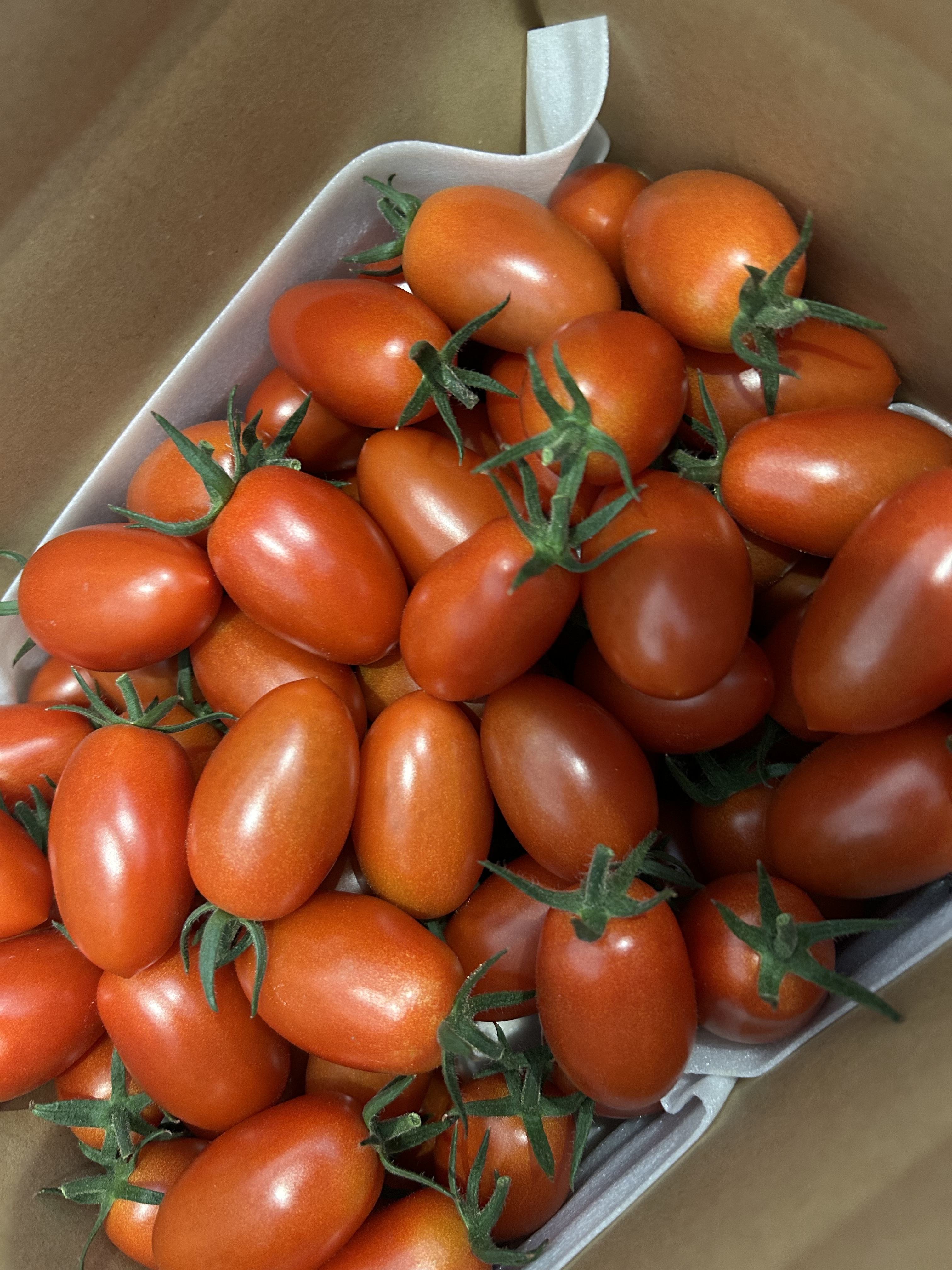 ミニトマトアイコ箱込み2kg｜トマトの商品詳細｜ポケット