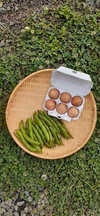【自然栽培】そら豆と平飼い卵のセット