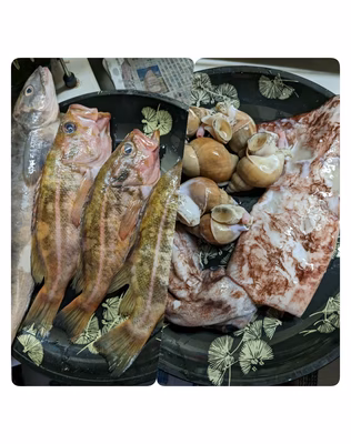 みんなの投稿の画像