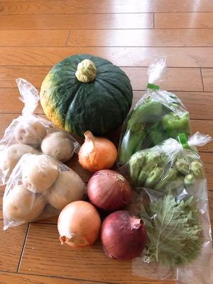 みんなの投稿の画像