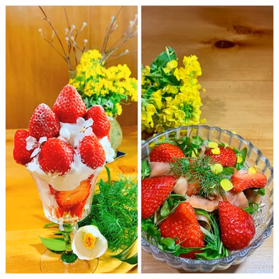 みんなの投稿の画像