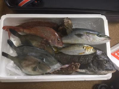 みんなの投稿の画像