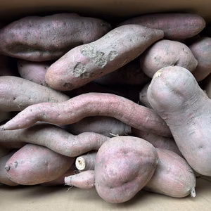 【訳あり】安納芋 5kg ※梱包込