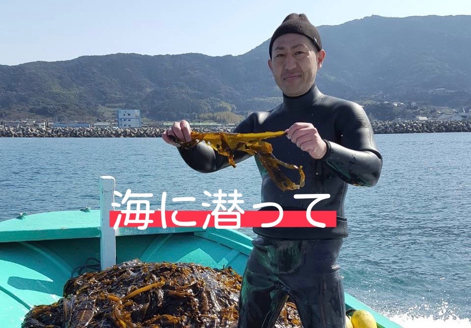 海から届く、夏のごちそう♪】大容量 玄界灘産 塩蔵わかめ 10