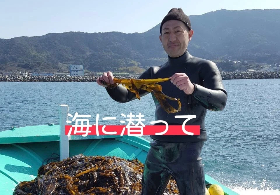 【秋の食欲があなたを救う】大容量 玄界灘産 塩蔵わかめ ２０袋 海藻