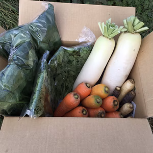 いわき農園の秋野菜セット