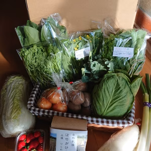 お手軽旬やさいセット  (内容は、その時収穫で変わってきます。)