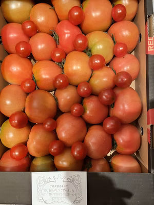 みんなの投稿の画像