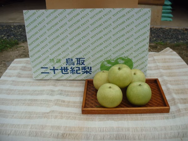 まえた農園