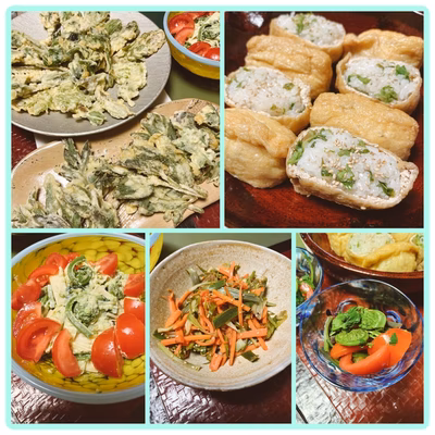 みんなの投稿の画像