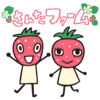 千葉県産　贈答用　完熟いちご　特殊梱包資材で傷なしでお届け！