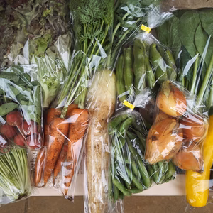 旬のアスリート野菜セット(8品前後)【農薬・化学肥料なし】