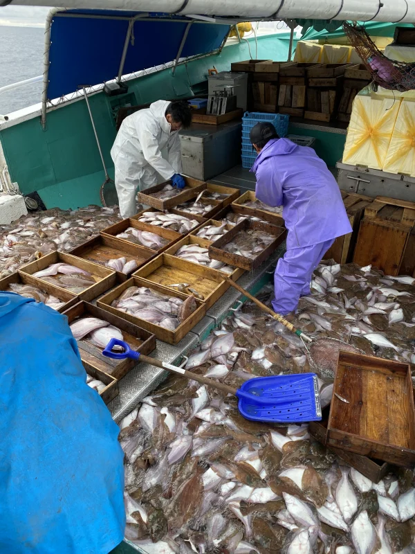 漁師セット❗️❗️ その季節の旬な物の詰め合わせ鮮魚セット♪