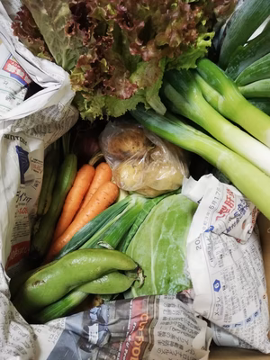 みんなの投稿の画像