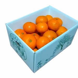 奄美大島産　たんかん（送料込み）　☆光センサー選別☆