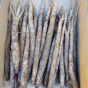 豊田旭産　山ごぼう1kg